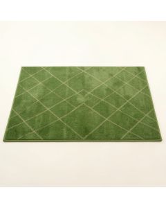 Dune Arc Rectangular Area Rug (synthetic illustration; no displayed measurements)