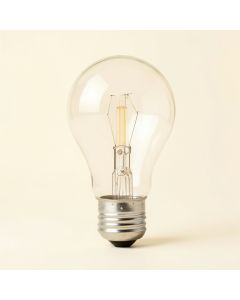 Incandescent Dimmable Light Bulb , ( 2500K ) E12/Candelabra Base (synthetic illustration; no displayed measurements)