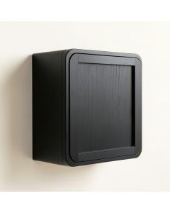 Spruce Branch Wall-Mounted Entry Cabinet - Black (synthetic illustration; no displayed measurements)