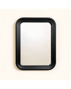 Laurel Canyon Framed Wall Mirror - Black (synthetic illustration; no displayed measurements)
