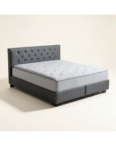 Biggs Tufted Platform Bed (synthetic illustration; no displayed measurements)