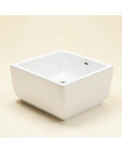 Cayman White Ceramic Rectangular Drop-In Bathroom Sink (synthetic illustration; no displayed measurements)
