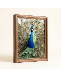 `` Peacock '' - 2 Piece Wrapped Canvas Print (synthetic illustration; no displayed measurements)