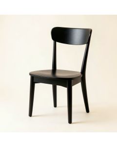 Ash Edge Dining Chair - Black (synthetic illustration; no displayed measurements)