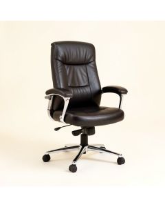 Bally Executive Chair (synthetic illustration; no displayed measurements)