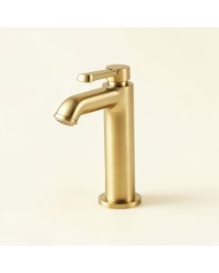 Cassidy Single Hole Bathroom Faucet (synthetic illustration; no displayed measurements)