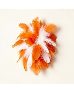 Feather Wall Décor (synthetic illustration; no displayed measurements)