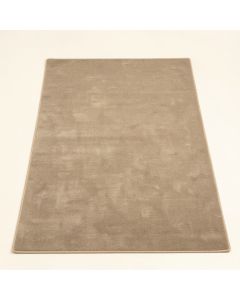 Hayner Area Rug (synthetic illustration; no displayed measurements)