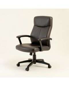 Ergonomic Executive Chair - Beacon Collection (synthetic illustration; no displayed measurements)