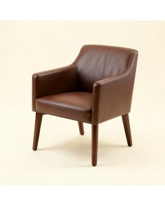 Androscogin Side Chair (synthetic illustration; no displayed measurements)