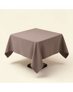 Wayfair Basics Solid Color Square Tablecloth (synthetic illustration; no displayed measurements)