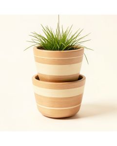 2 Tier Seagrass Hanging Planter (synthetic illustration; no displayed measurements)