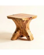 Teak Root Side Table (synthetic illustration; no displayed measurements)