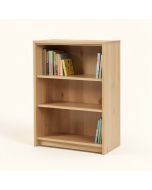 Analiese Bookcase (synthetic illustration; no displayed measurements)