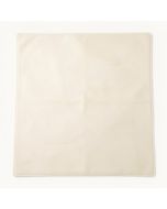 Baranof Oriental Ivory Area Rug (synthetic illustration; no displayed measurements)