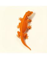 Little Neck Gecko Wall Décor (synthetic illustration; no displayed measurements)