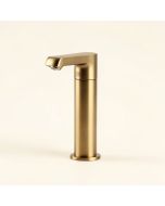 Ileana Single Hole Bathroom Faucet (synthetic illustration; no displayed measurements)