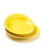 Riverdale Bamboo , Pineapple 16 Piece Melamine Dinnerware Set , Service For 4 (synthetic illustration; no displayed measurements)
