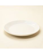 Sandbar Platter (synthetic illustration; no displayed measurements)