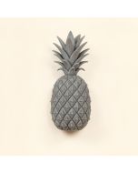 Fuiloro Pineapple Garden Plaque Wall Décor (synthetic illustration; no displayed measurements)