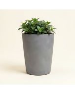 Gellért Resin Pot Planter (synthetic illustration; no displayed measurements)