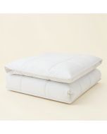 Casey 7 Piece Comforter Set (synthetic illustration; no displayed measurements)
