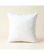 Daria Square Pillow Insert (synthetic illustration; no displayed measurements)