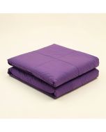 Freeburg Purple Duvet Cover Set (synthetic illustration; no displayed measurements)