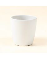 Dawley Clay Pot Planter (synthetic illustration; no displayed measurements)