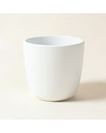 Plastic Wall Planter (synthetic illustration; no displayed measurements)