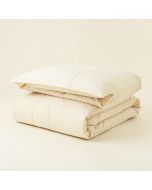 Rosemonde 5 Piece Comforter Set (synthetic illustration; no displayed measurements)