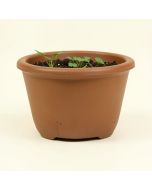 Vanmatre Water Hyacinth Planter Box (synthetic illustration; no displayed measurements)