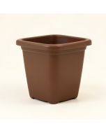 Paquette Self-Watering Plastic Elevated Planter (synthetic illustration; no displayed measurements)