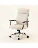 Aricijana Office Executive Chair (synthetic illustration; no displayed measurements)