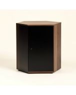 Bandini Storage Cabinet (synthetic illustration; no displayed measurements)