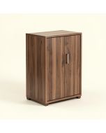 Jaini Storage Cabinet (synthetic illustration; no displayed measurements)