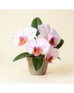 Artificial Double Phalaenopsis Orchid Floral Arrangement (synthetic illustration; no displayed measurements)