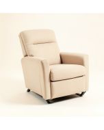 Dayonna 32.3 '' Wide Power Lift Assist Standard Recliner (synthetic illustration; no displayed measurements)