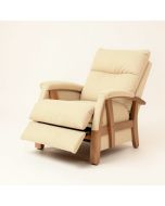 Adrit 41 '' Wide Power Lift Assist Standard Recliner (synthetic illustration; no displayed measurements)