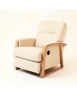 Rumford 32.3 '' Wide Power Lift Assist Standard Recliner (synthetic illustration; no displayed measurements)