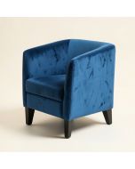 Rezzan Velvet Side Chair In Blue (synthetic illustration; no displayed measurements)