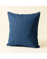 Raw Coast Pineapple Square Pillow (synthetic illustration; no displayed measurements)