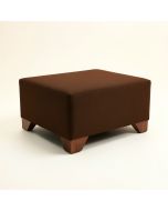 Sermin 18 '' Rectangle Standard Ottoman (synthetic illustration; no displayed measurements)
