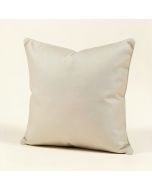 Throw Pillow (synthetic illustration; no displayed measurements)