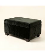 Carmelita Ottoman With Storage (synthetic illustration; no displayed measurements)