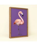 Placido Flamingo - Print On Canvas (synthetic illustration; no displayed measurements)