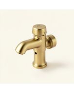 Lavatory Single Hole Bathroom Faucet With Drain Assembly (synthetic illustration; no displayed measurements)