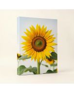 Sunflower Photographic Print On Canvas (synthetic illustration; no displayed measurements)