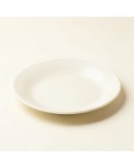 Melamine 8.5 '' Salad Plate (synthetic illustration; no displayed measurements)