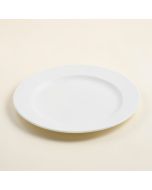 Dabo 9 '' Melamine Salad Plate (synthetic illustration; no displayed measurements)